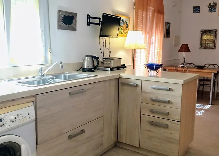 Perros hoteles San Agustín